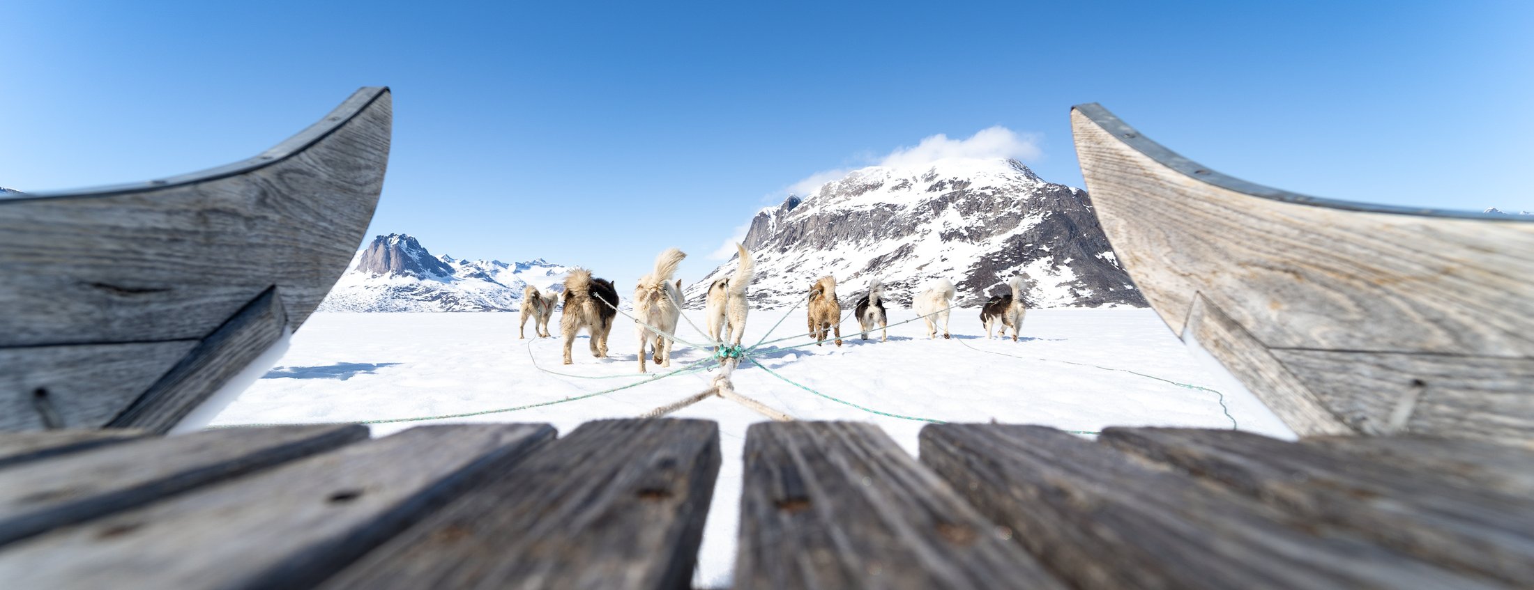 Groenland - Paysage polaire