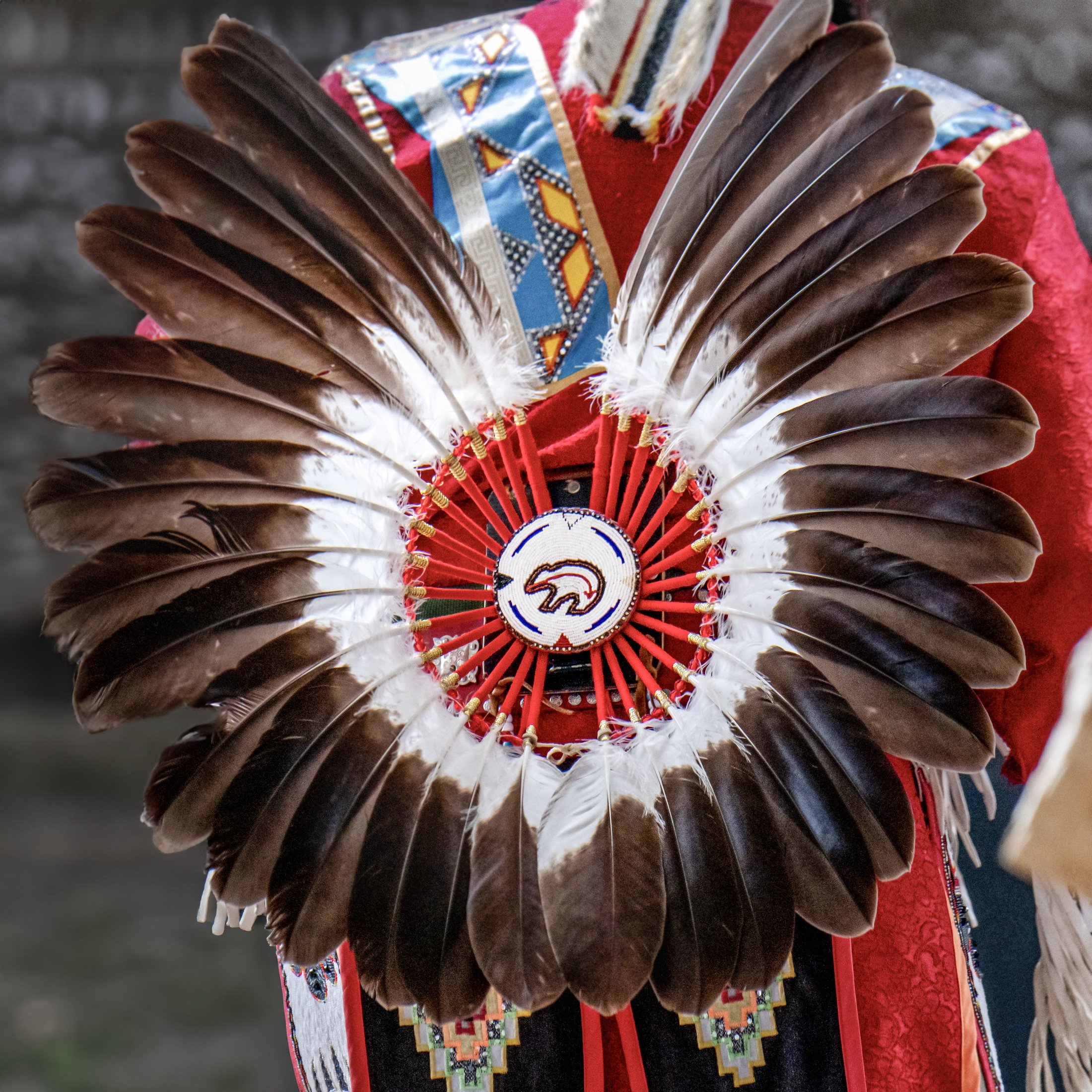 Canada - Danse Pow Wow, tribu des Ojibwe, Île Manitoulin