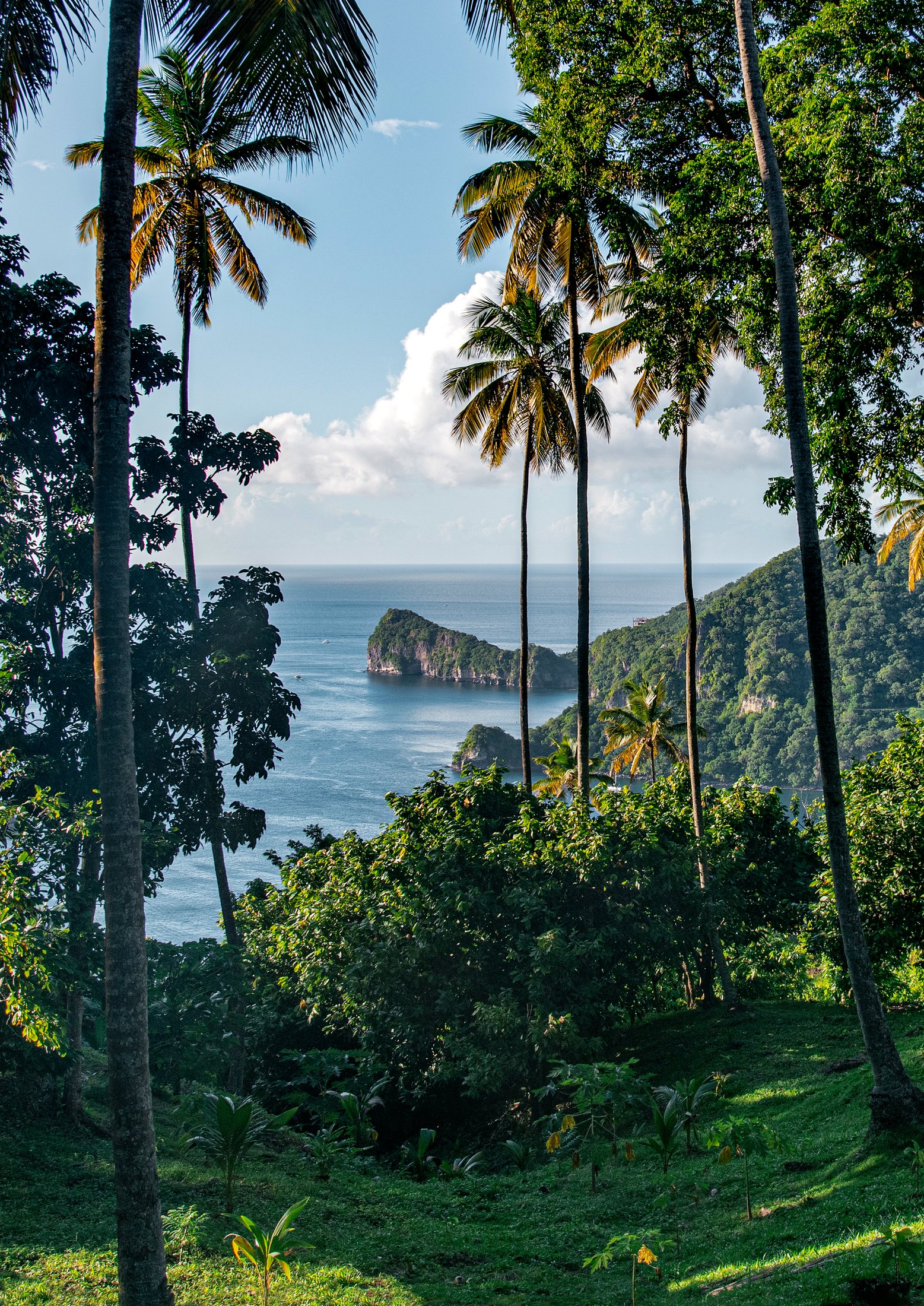 Amérique - Caraïbes, Sainte-Lucie