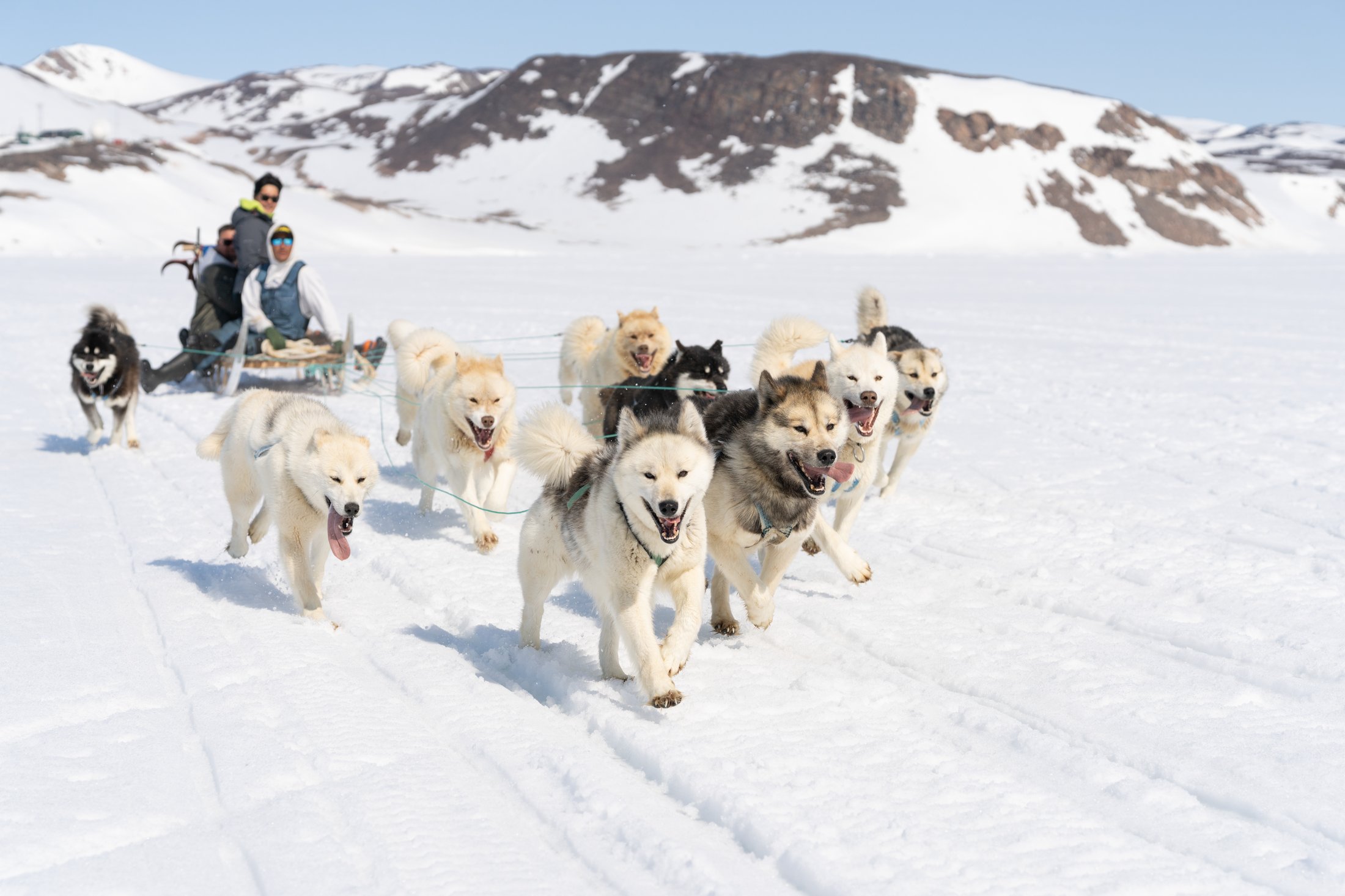 Ittoqqortoormiit - Village inuit isolé du Groenland
