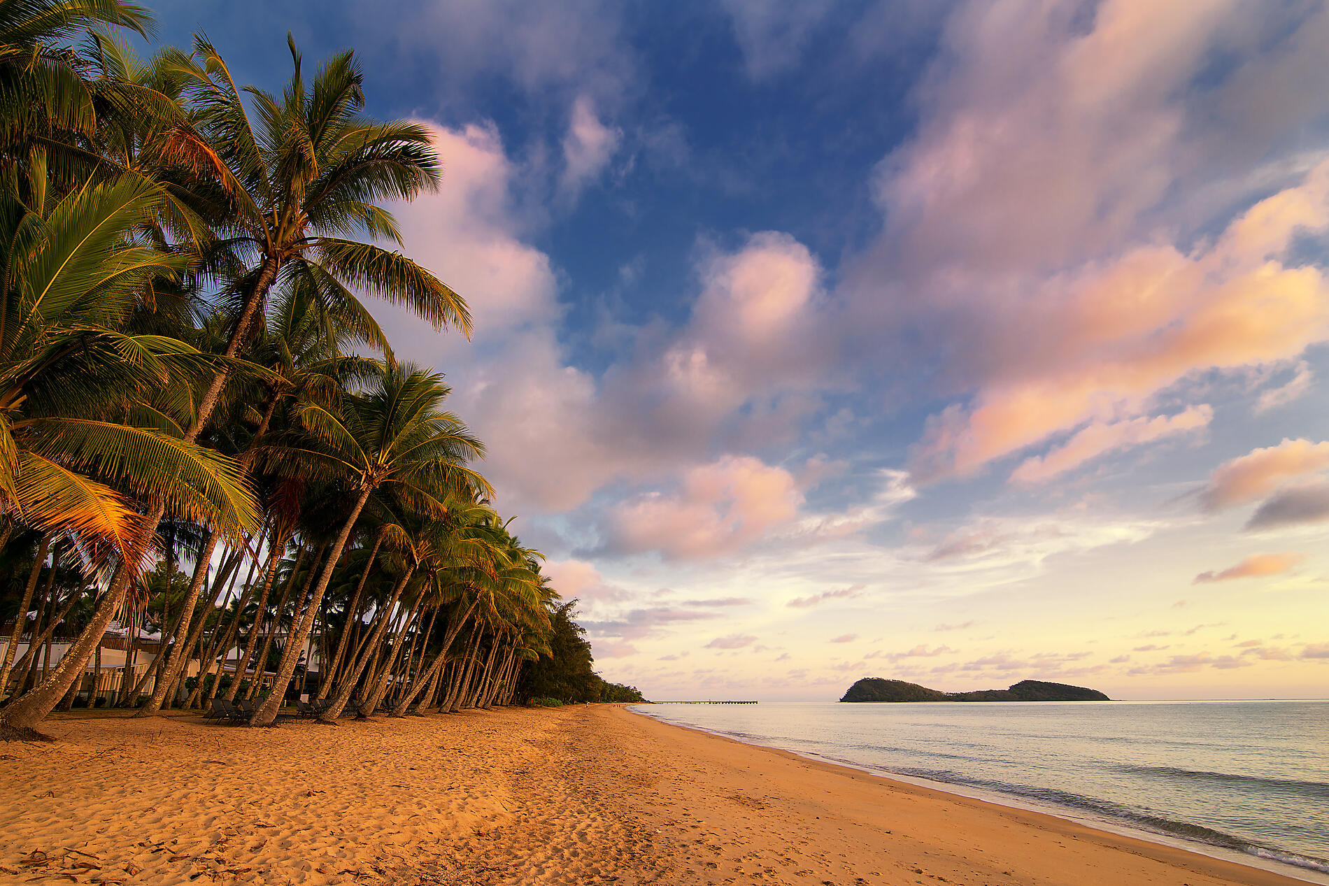 Odyssée en Nouvelle-Guinée
