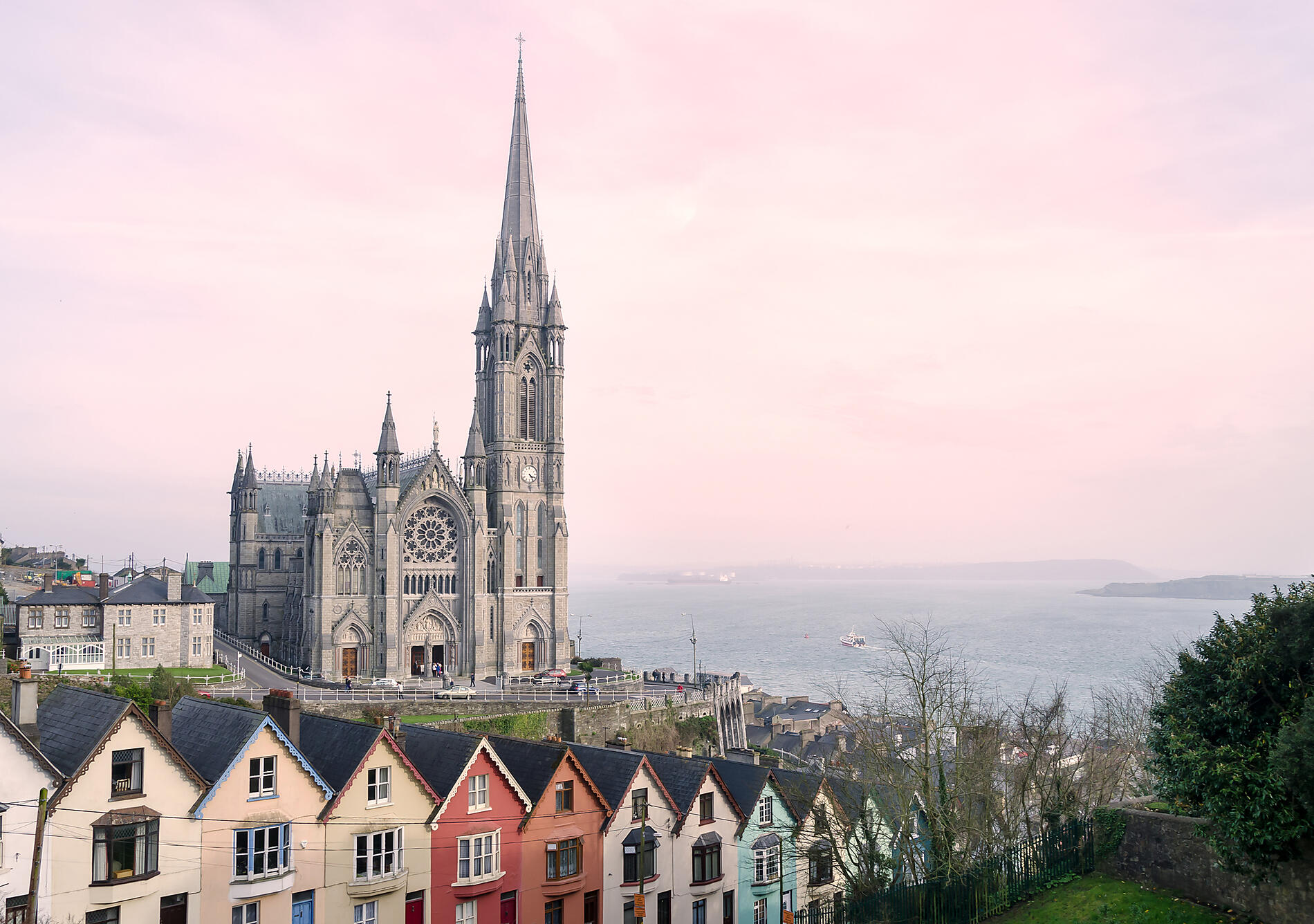 Cork
