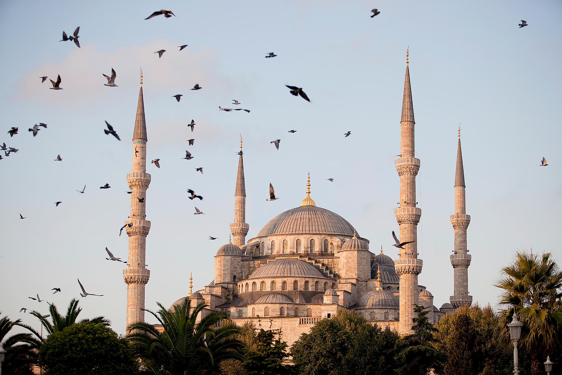 Splendeurs antiques de mer Égée