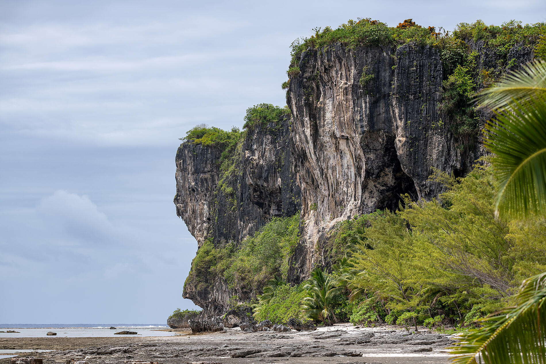 Makatea, îles Tuamotu