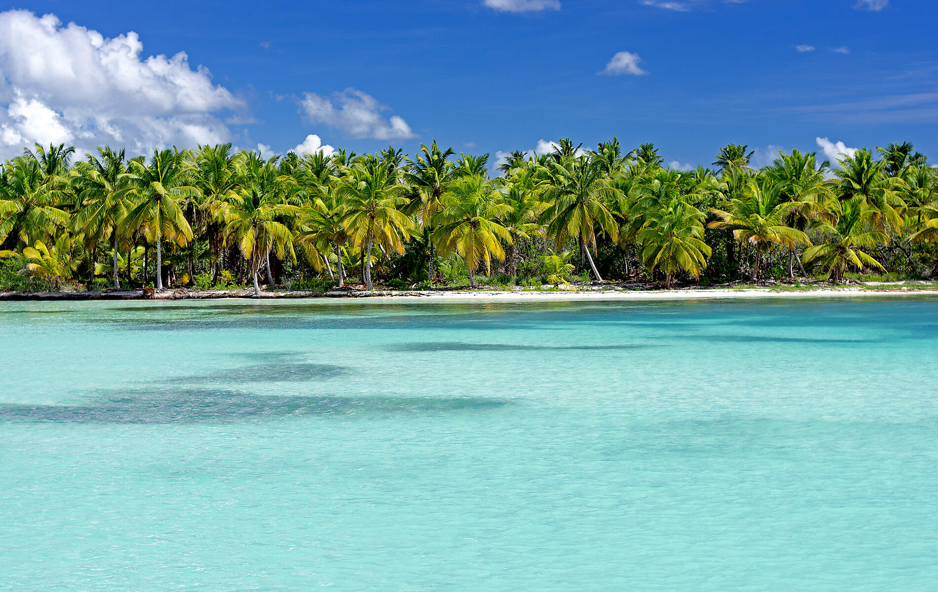 Joyaux du nord des Caraïbes