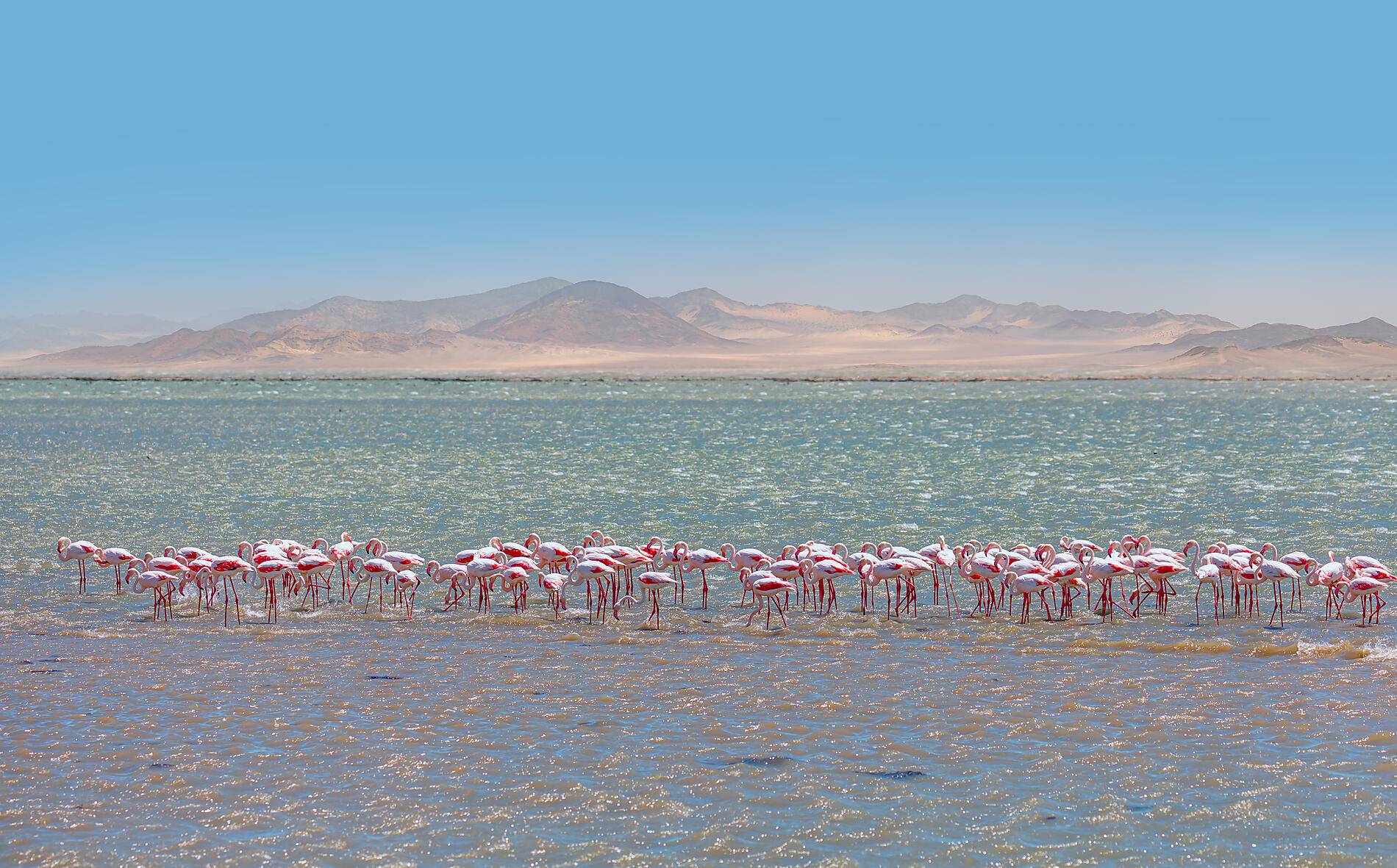 Namibie et Afrique du Sud