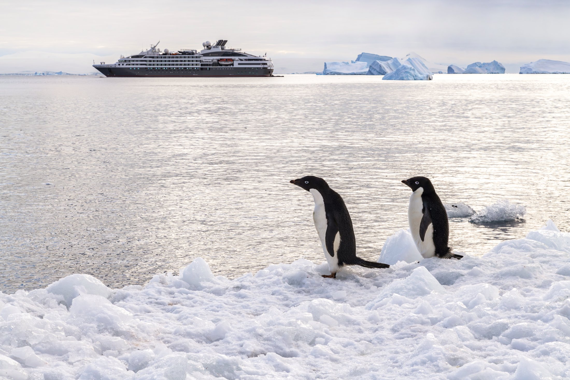 Dans le sillage de Jean-Baptiste Charcot